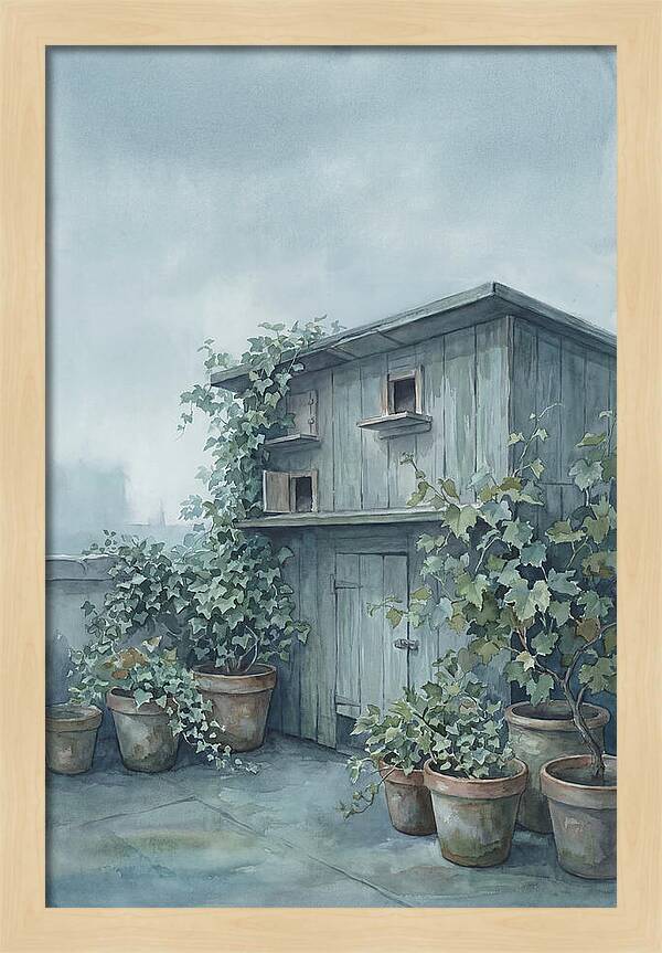 Rooftop Pigeon Loft With Terracotta Pots