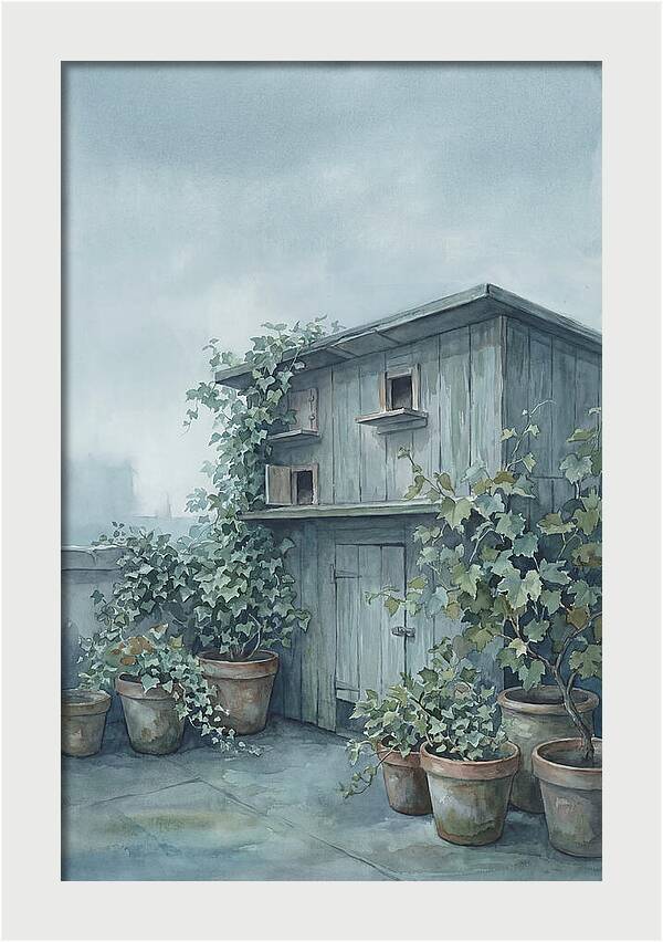 Rooftop Pigeon Loft With Terracotta Pots
