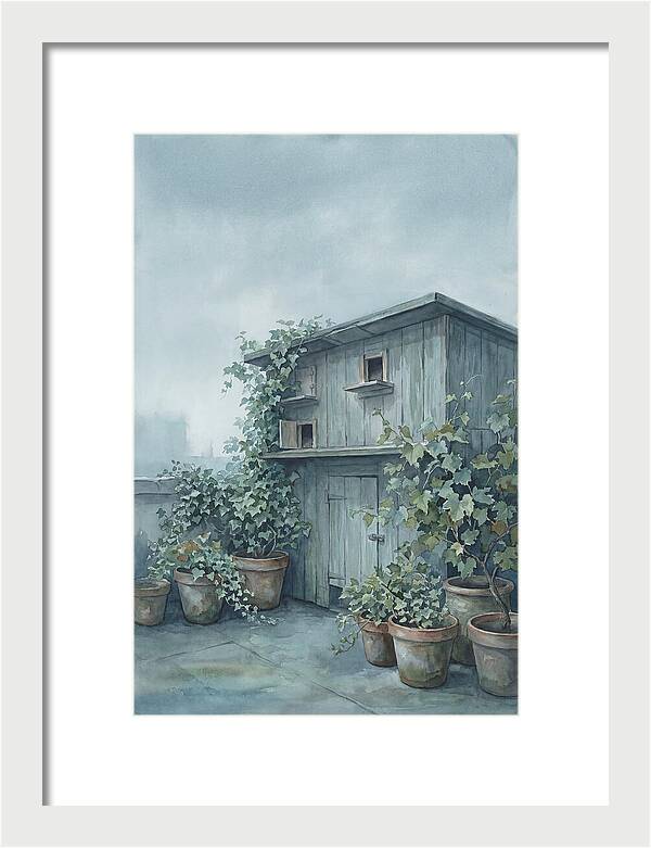 Rooftop Pigeon Loft With Terracotta Pots