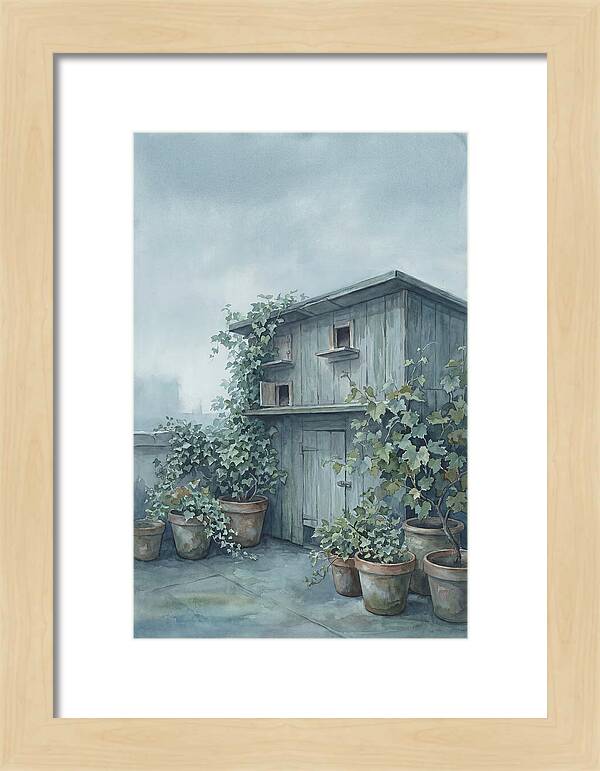 Rooftop Pigeon Loft With Terracotta Pots