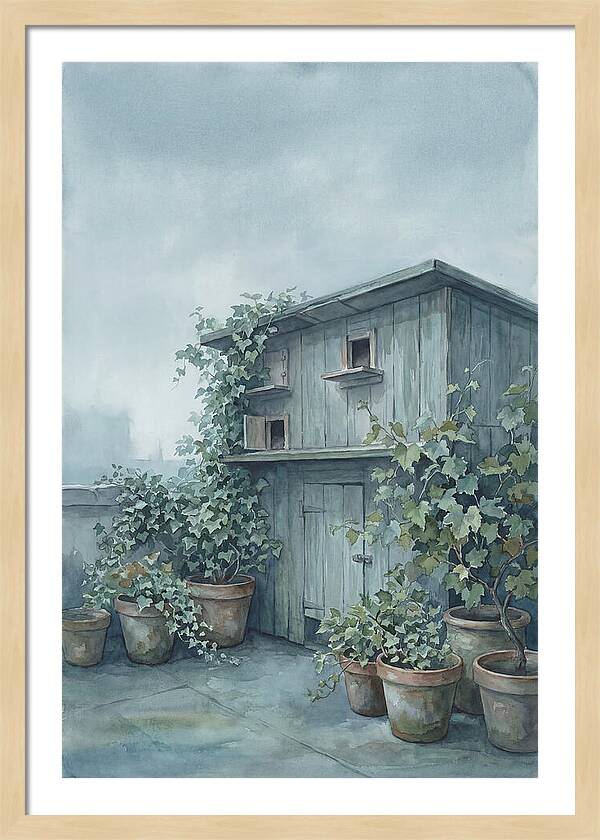 Rooftop Pigeon Loft With Terracotta Pots