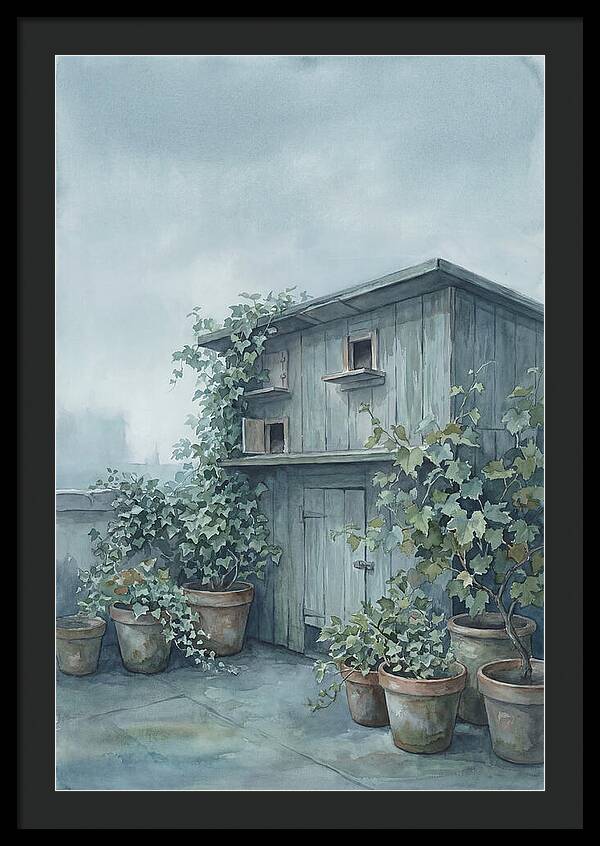 Rooftop Pigeon Loft With Terracotta Pots