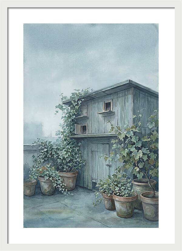 Rooftop Pigeon Loft With Terracotta Pots