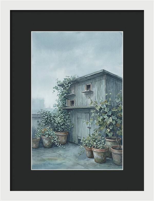 Rooftop Pigeon Loft With Terracotta Pots