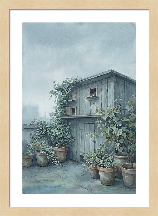 Rooftop Pigeon Loft With Terracotta Pots