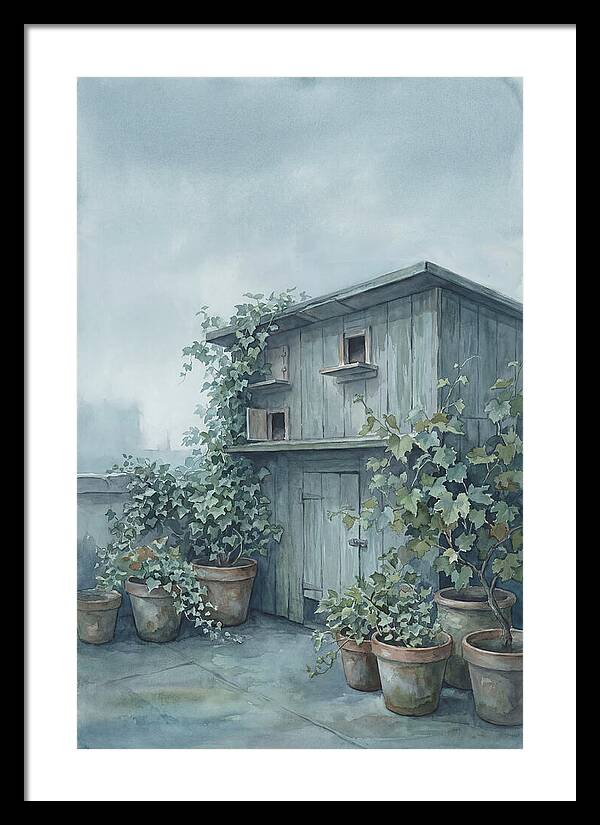 Rooftop Pigeon Loft With Terracotta Pots