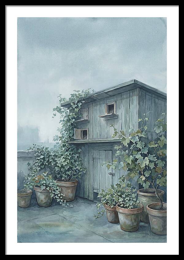 Rooftop Pigeon Loft With Terracotta Pots