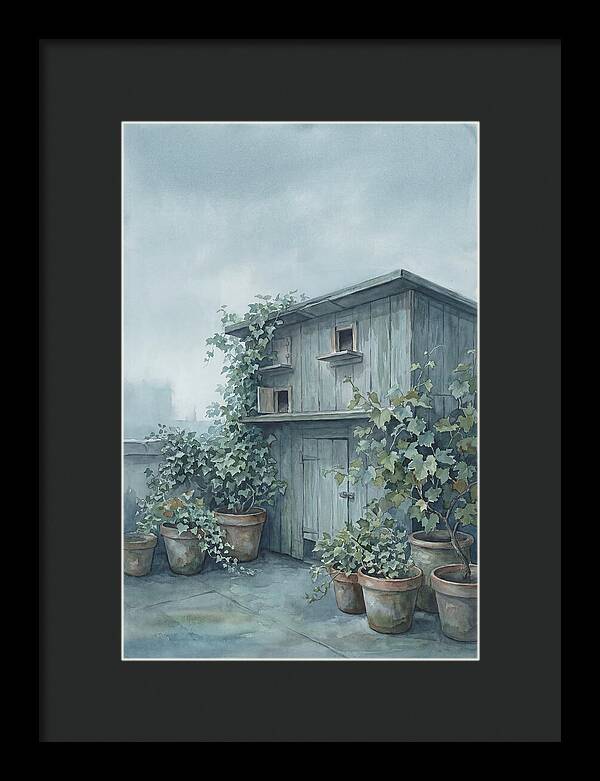 Rooftop Pigeon Loft With Terracotta Pots