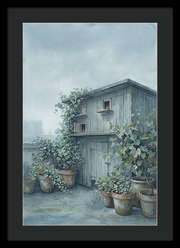 Rooftop Pigeon Loft With Terracotta Pots