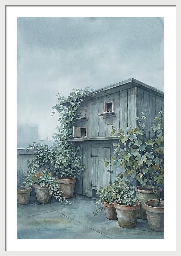 Rooftop Pigeon Loft With Terracotta Pots