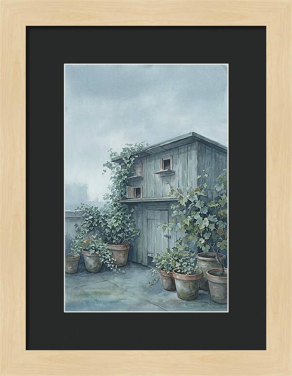 Rooftop Pigeon Loft With Terracotta Pots