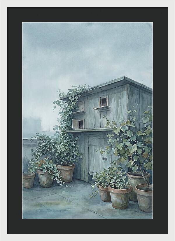 Rooftop Pigeon Loft With Terracotta Pots