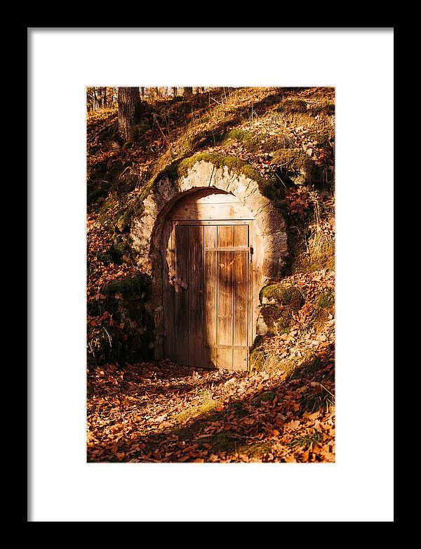 Root Cellar Door In Autumn