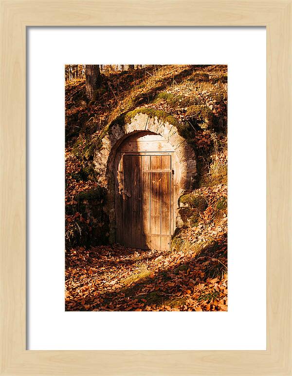 Root Cellar Door In Autumn