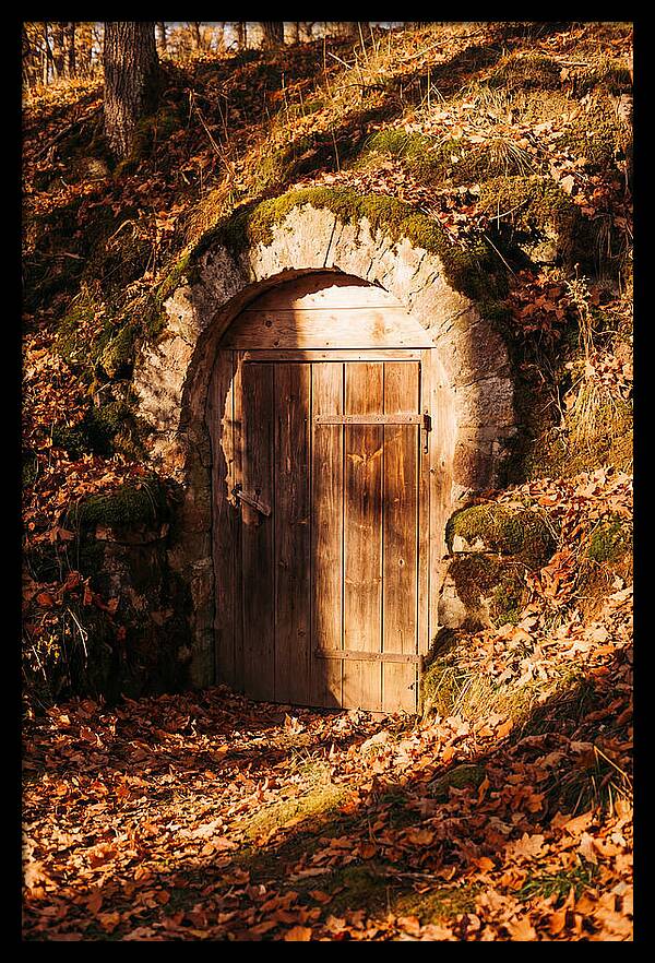 Root Cellar Door In Autumn