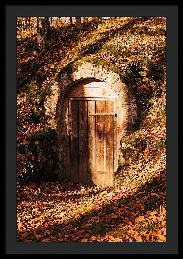 Root Cellar Door In Autumn