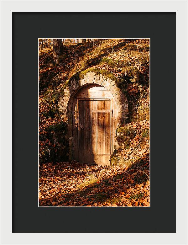 Root Cellar Door In Autumn