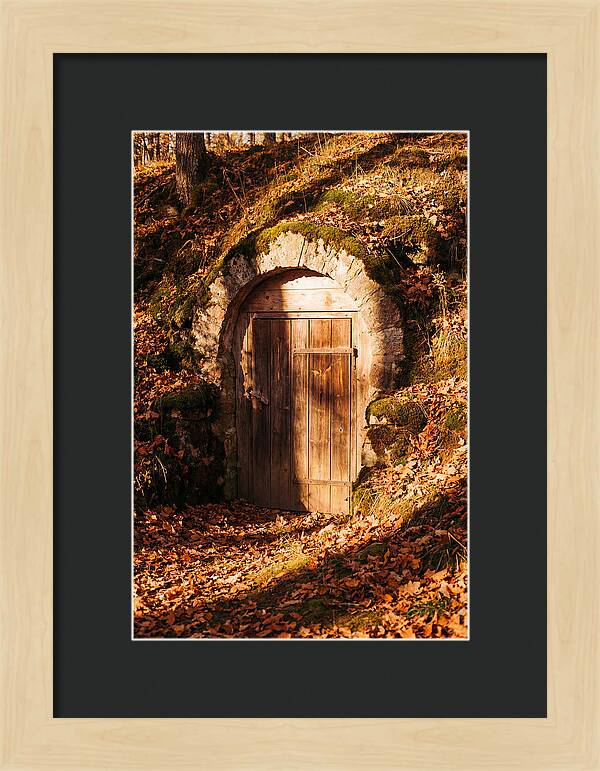 Root Cellar Door In Autumn