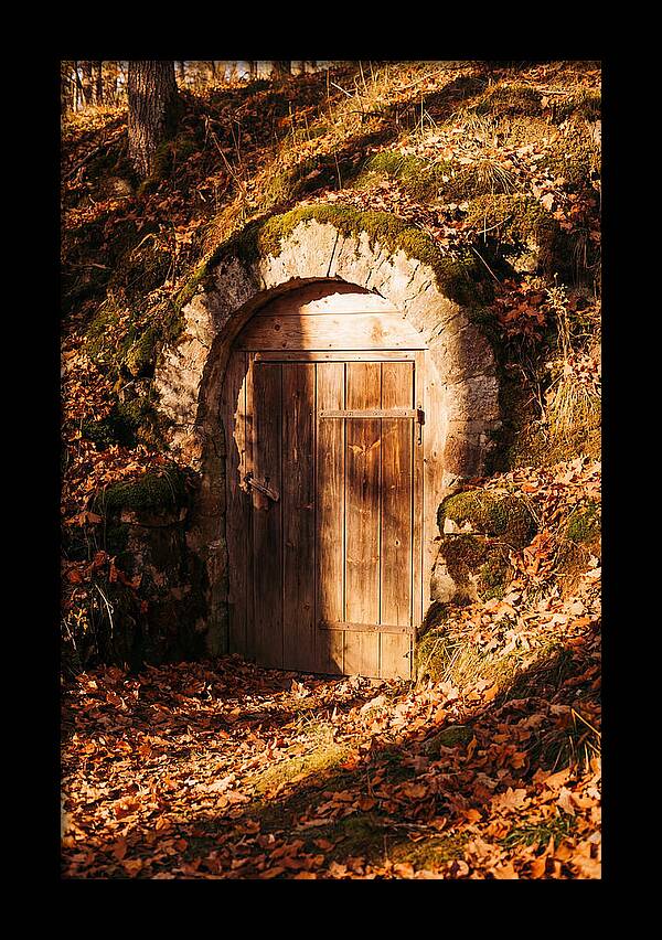 Root Cellar Door In Autumn