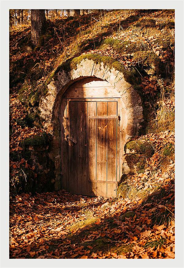 Root Cellar Door In Autumn