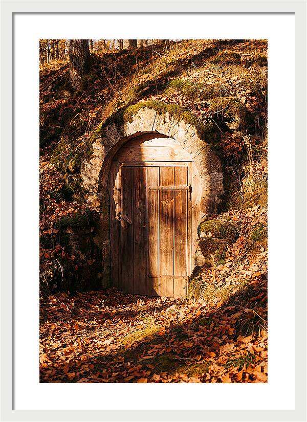 Root Cellar Door In Autumn