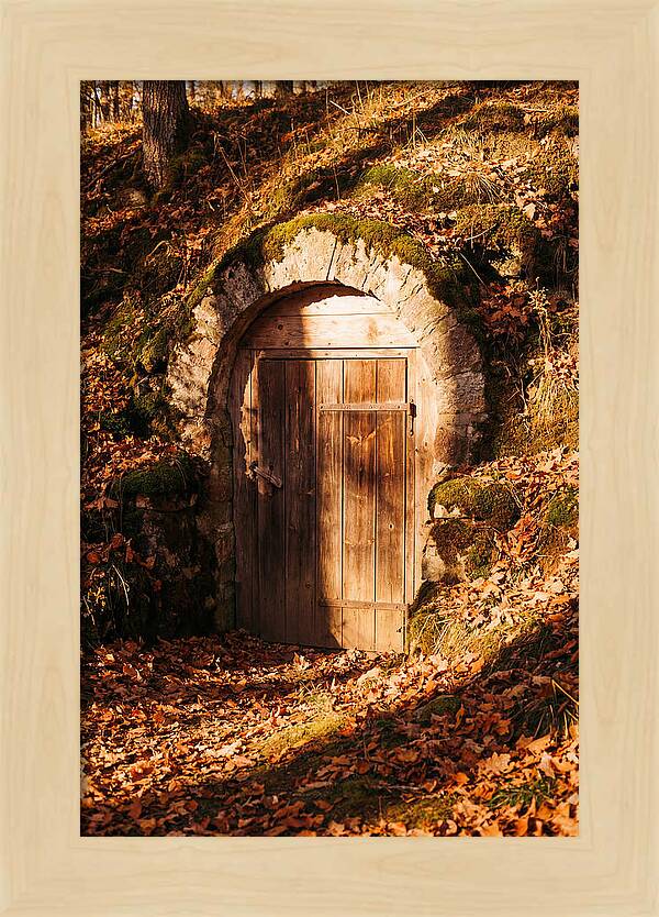 Root Cellar Door In Autumn