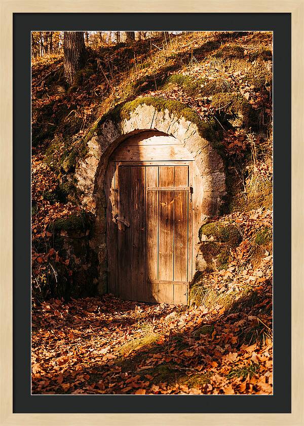Root Cellar Door In Autumn