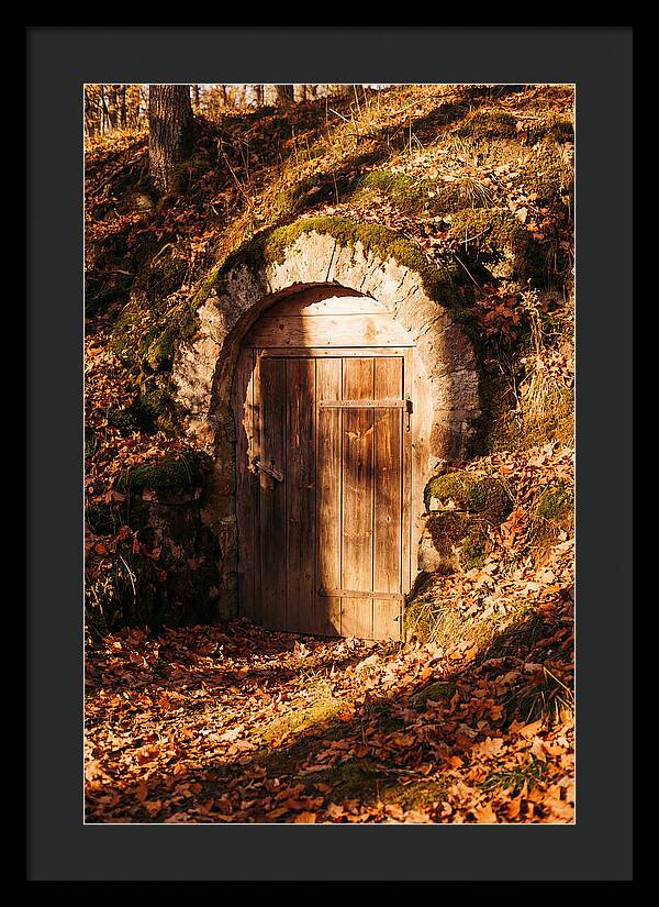 Root Cellar Door In Autumn