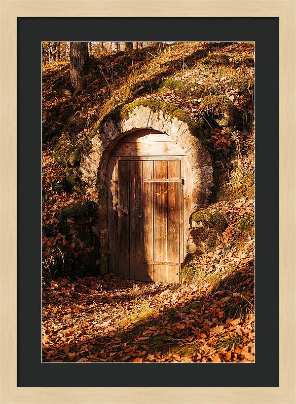 Root Cellar Door In Autumn