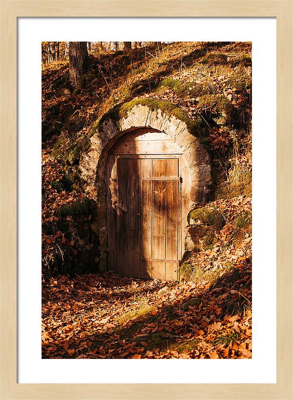 Root Cellar Door In Autumn