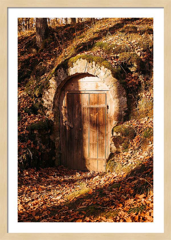 Root Cellar Door In Autumn