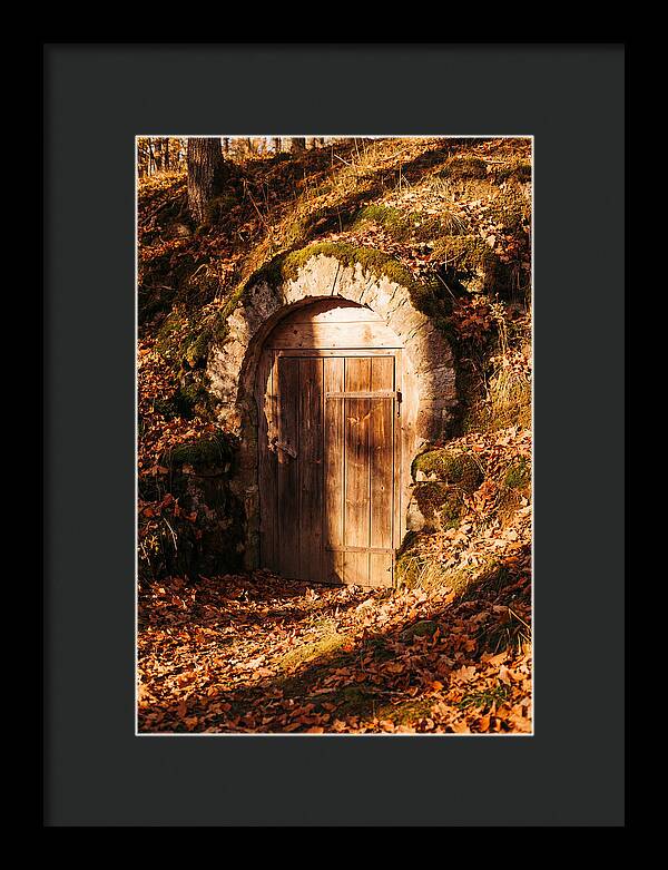 Root Cellar Door In Autumn