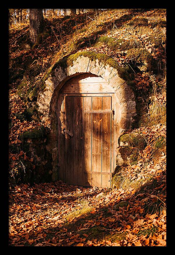 Root Cellar Door In Autumn