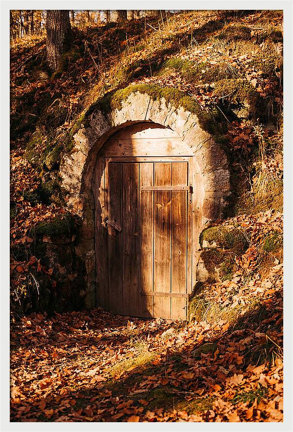 Root Cellar Door In Autumn