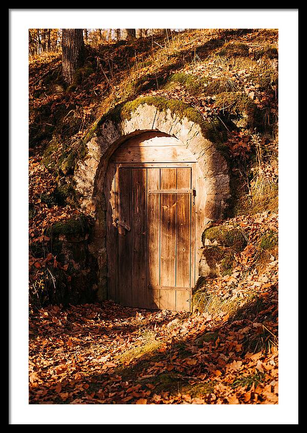 Root Cellar Door In Autumn