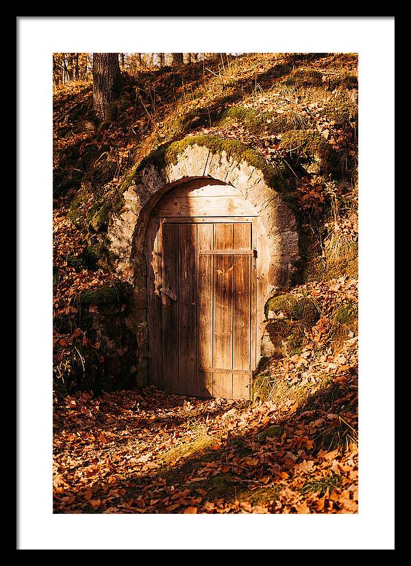 Root Cellar Door In Autumn