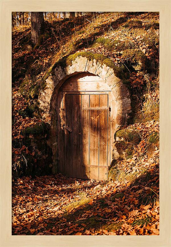 Root Cellar Door In Autumn