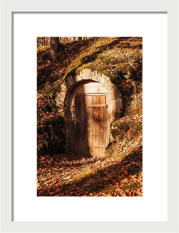Root Cellar Door In Autumn