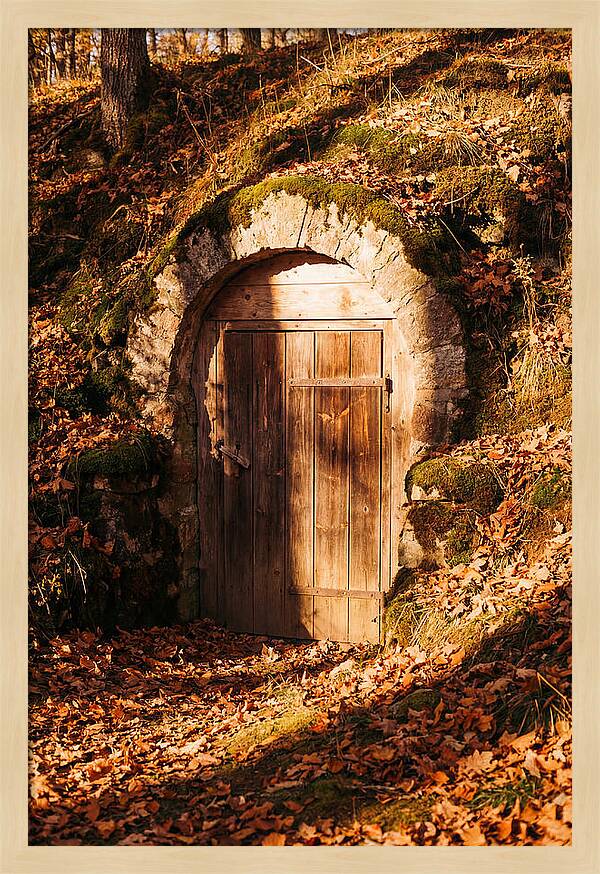 Root Cellar Door In Autumn