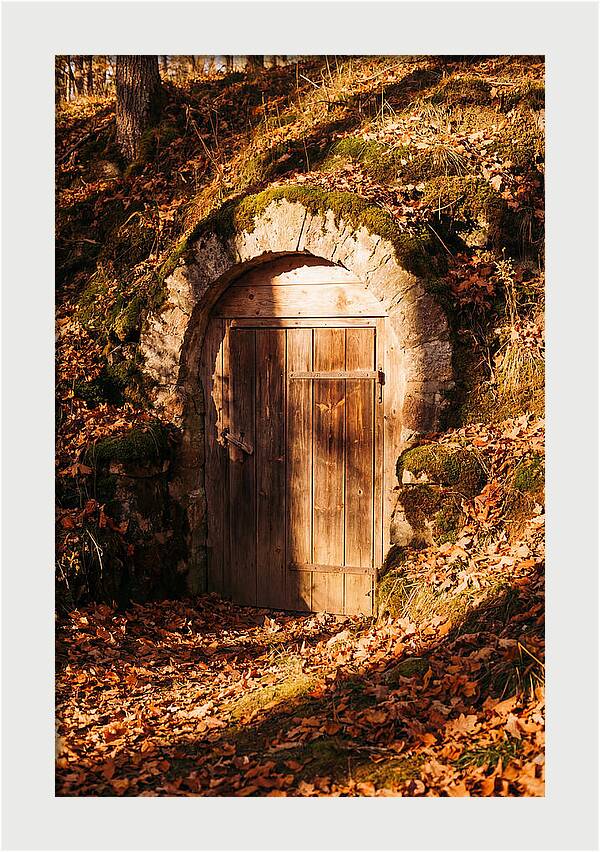 Root Cellar Door In Autumn