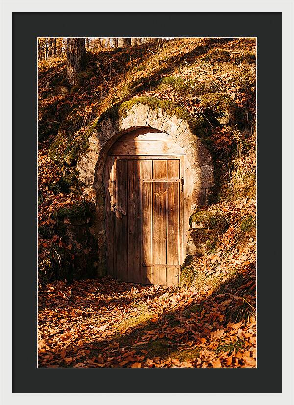 Root Cellar Door In Autumn