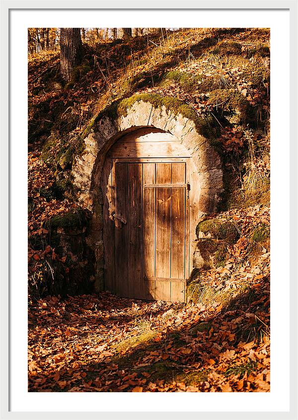 Root Cellar Door In Autumn