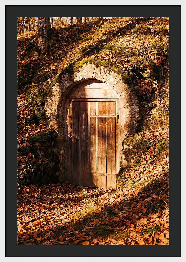 Root Cellar Door In Autumn