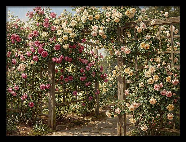 Rose Arbor In Bloom