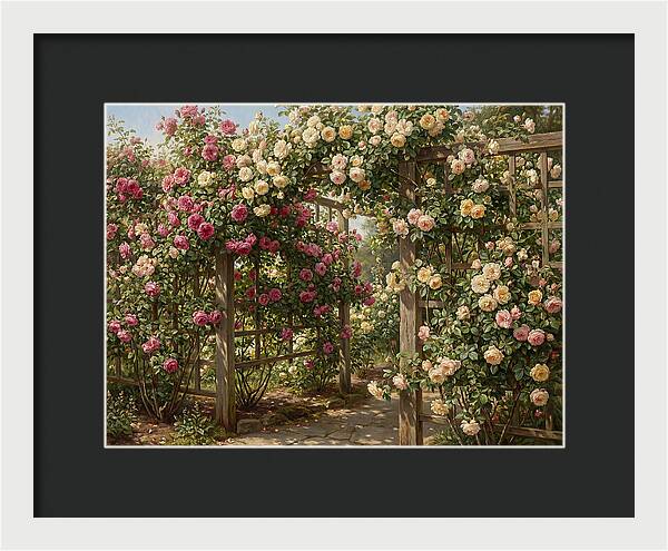 Rose Arbor In Bloom