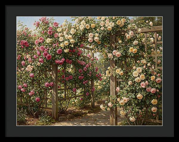 Rose Arbor In Bloom