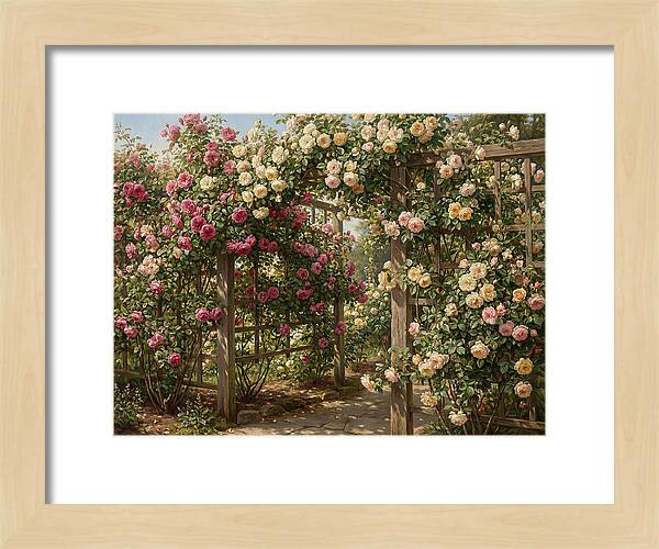 Rose Arbor In Bloom