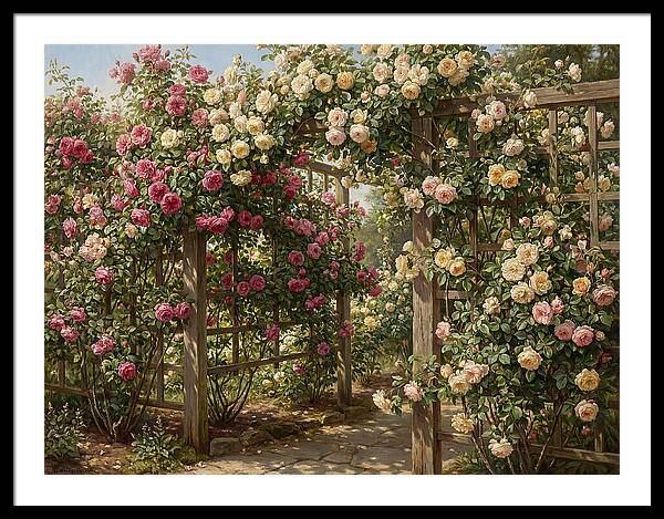 Rose Arbor In Bloom