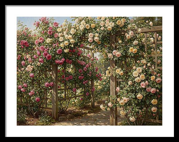 Rose Arbor In Bloom