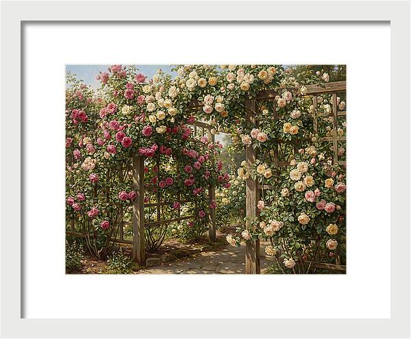 Rose Arbor In Bloom